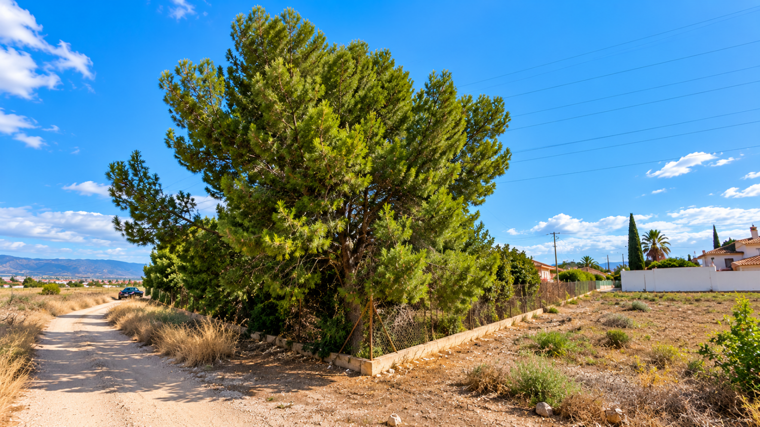 PARCELA URBANA EN EL PALMAR: CONSTRUYE TU CASA RODEADA DE NATURALEZA CERCA DEL MONTEVIDA