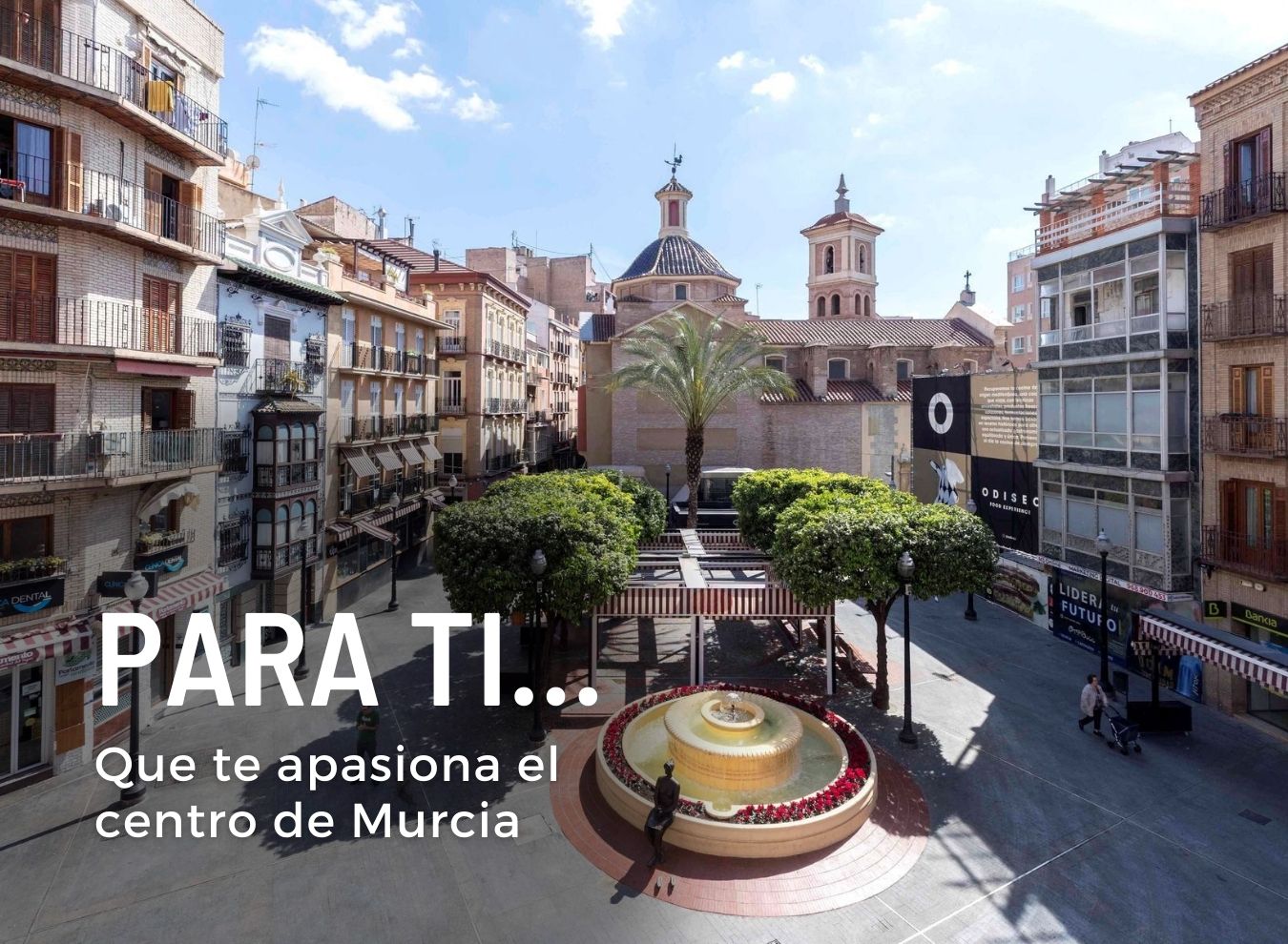 Inmobiliaria Joaquín Cárceles en Murcia